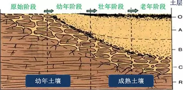 土壤養(yǎng)分檢測儀工作原理、技術(shù)和方法